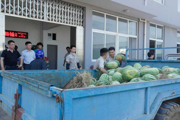 无锡政府送清凉正在搬运西瓜